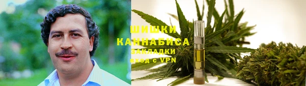 дурь Надым