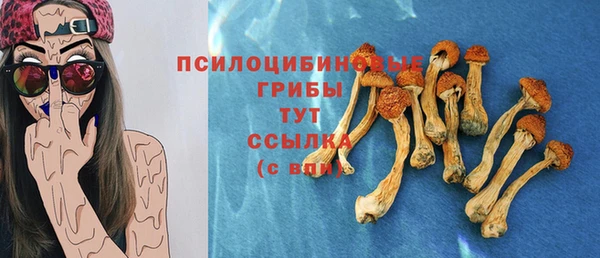 дурь Надым