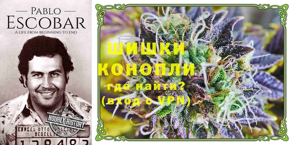 дурь Надым